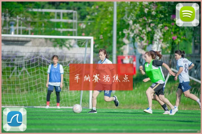 辛纳赛场焦点
