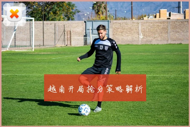 越南开局抢分策略解析