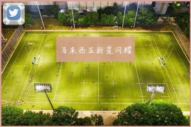 马来西亚新星闪耀