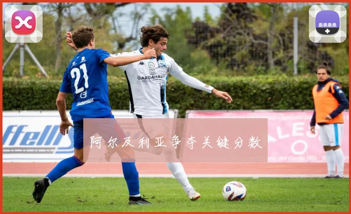 阿尔及利亚争夺关键分数