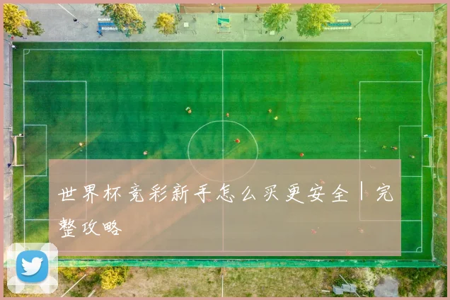 世界杯竞彩新手怎么买更安全｜完整攻略