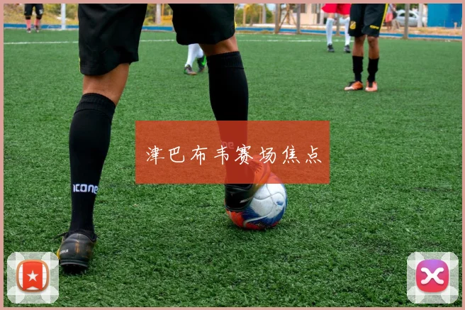 津巴布韦赛场焦点
