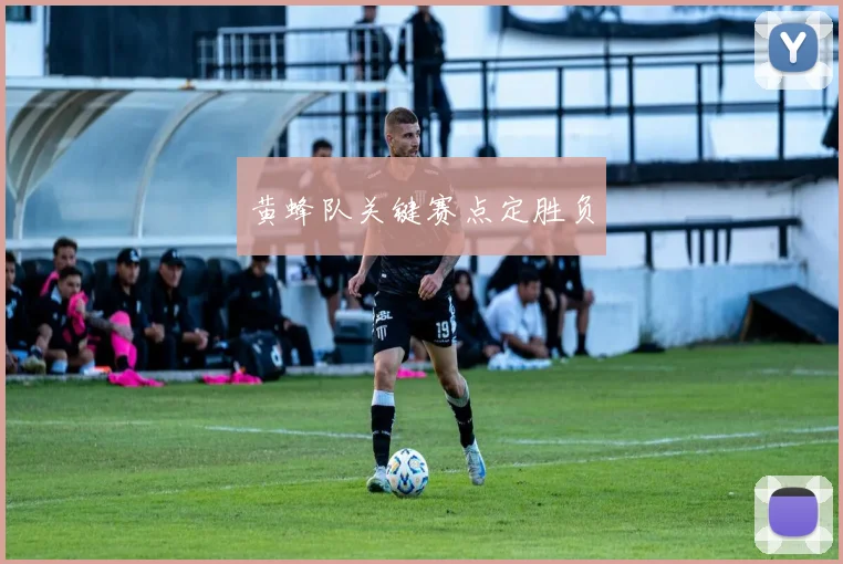 黄蜂队关键赛点定胜负