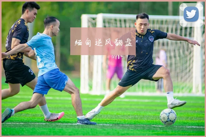 缅甸逆风翻盘