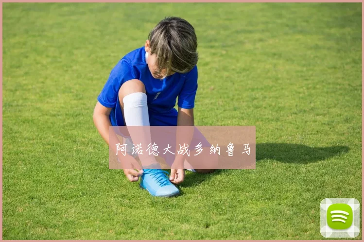 阿诺德大战多纳鲁马