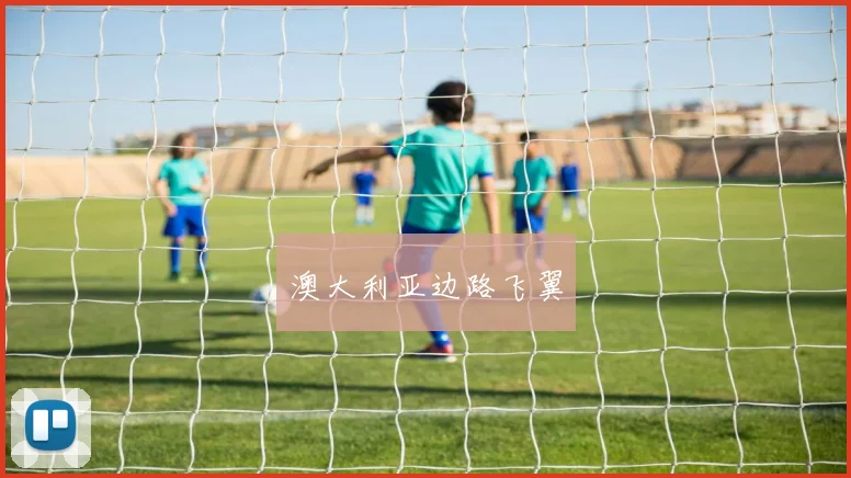 澳大利亚边路飞翼