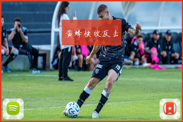 黄蜂快攻反击