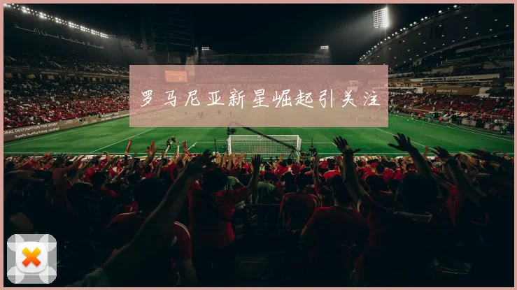 罗马尼亚新星崛起引关注
