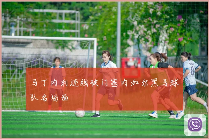 马丁内利连线破门塞内加尔黑马球队名场面